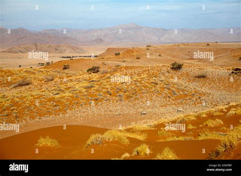 Namib Desert Star Dune Camp Views In Namibia Stock Photo Alamy