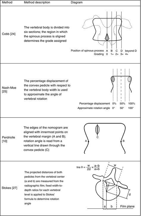 Full Length SpineClinical Correlations With Specific Phenotypes And