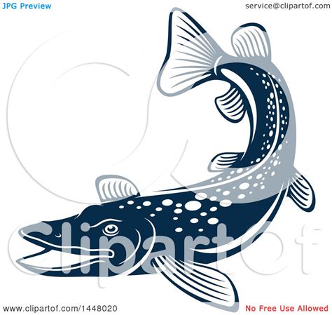 Clipart of a Navy Blue Pike Fish, with a White Outline - Royalty Free Vector Illustration by ...