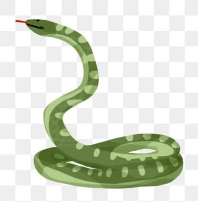 Majestic Snakes PNG Transparent Images Free Download | Vector Files ...