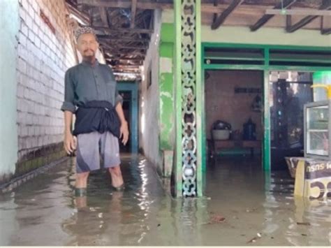 Dampak Banjir Rob Kepala Keluarga Di Tuban Rumah Terendam