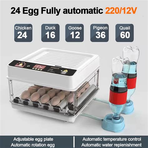 V V Eggs Incubator Digital Automatic Egg Incubator Fully Automatic