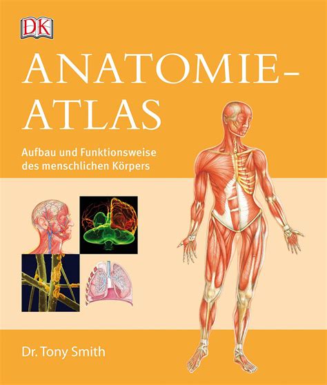 Amazon Fr Anatomie Atlas Aufbau Und Funktionsweise Des Menschlichen