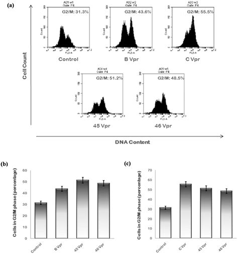 G2m Arrest Induced By Vpr Variants A Hela Cells Were Transfected