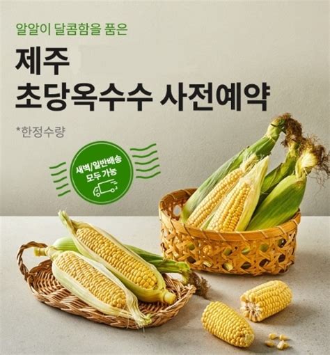 현대그린푸드 제주 초당옥수수 예약판매