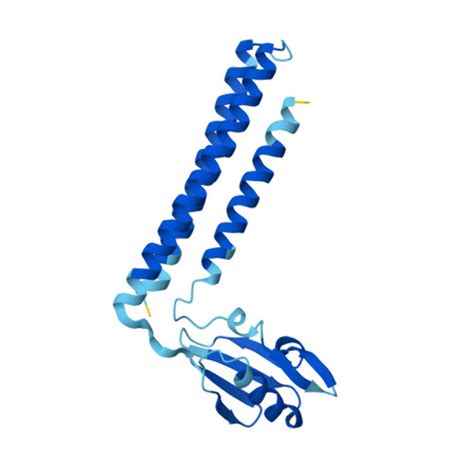 RCSB PDB AF AFQ4UKF3F1 Computed Structure Model Of Ribosome