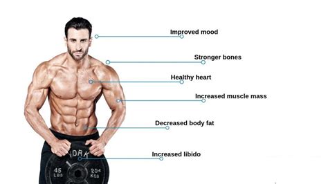 Testosterone Boosting Exercises Raise Your T Levels Naturally