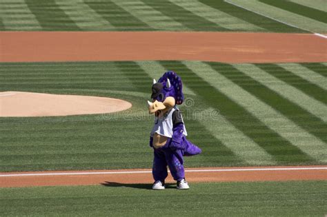 Colorado Rockies Mascot editorial stock photo. Image of editorial ...