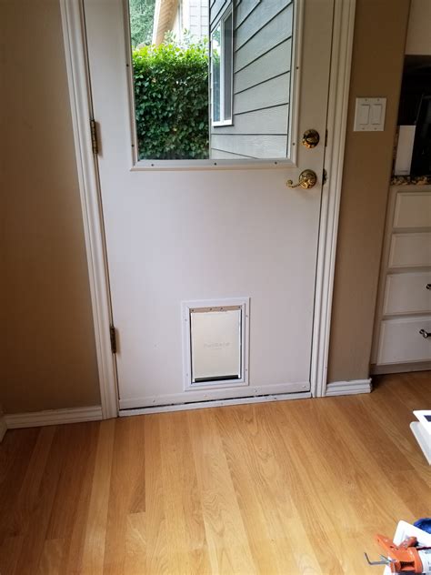 Best Door To Install Dog Door at Emmanuel Jones blog