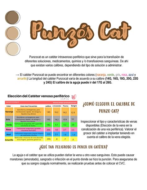 Punzo Cat El Cat Ter Punzocat Se Puede Encontrar En Diferentes