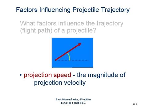 Chapter 10 Linear Kinematics Of Human Movement Basic