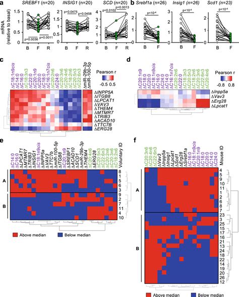 Gene Expression In Peripheral Blood Mononucleated Cells Pbmcs During