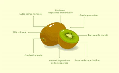 Tout Ce Quil Faut Savoir Sur Le Kiwi Et Ses Bienfaits Dietis