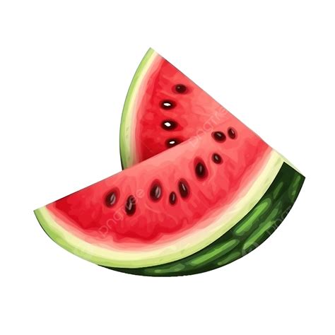 Water Melon Slice Illustration With Green Red And Black Color Melon Watermelon Slice Png