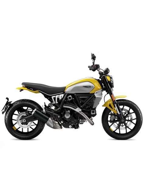 Scrambler Ducati Icon Yellow Advanced Motorsports Ducati Dallas