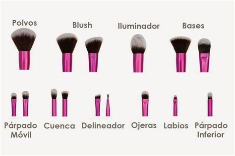 C Mo Usar Tus Brochas De Maquillaje Correctamente Maquillaje En