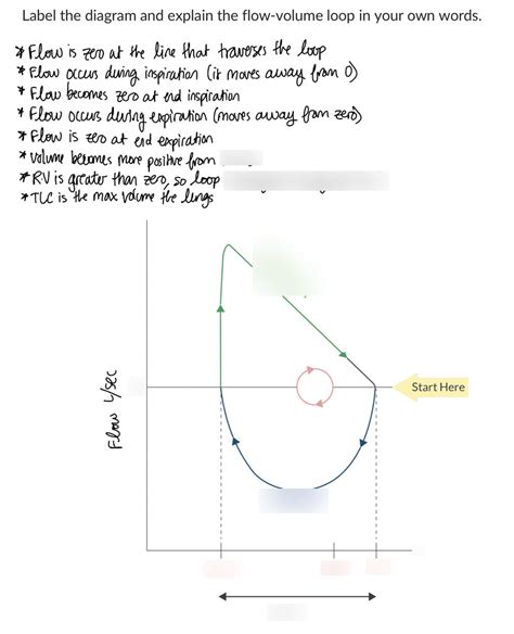 Flow Volume Loop Diagram Quizlet