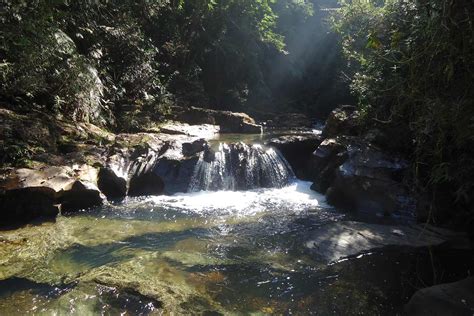 Parque Natural Municipal Das Andorinhas Parque Das Andorinhas