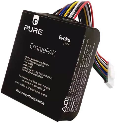 Pure Chargepak Evoke Play Batteries Rechargeables Sur Son Vid O