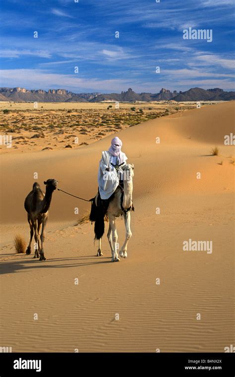 Algeria Djanet Man Tuareg Tribe Banque De Photographies Et Dimages