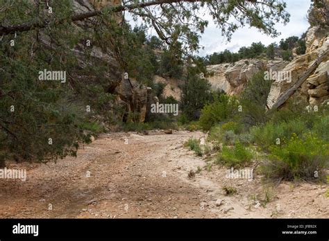 Willis Creek Slot Canyon 16 Stock Photo Alamy