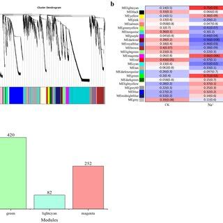 Identification Of Co Expression Network Modules In N Sibirica A Gene