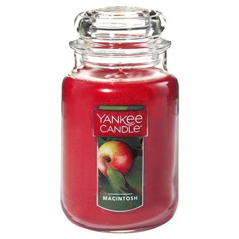 yankee candle bold enterprises