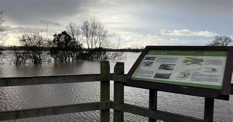 The Somerset flood warnings which remain in place - Somerset Live