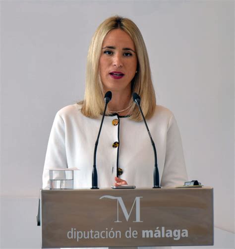 El Psoe De Málaga Exige A La Junta Que Contrate Más Profesores Para