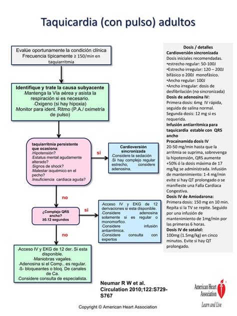 Algoritmos De Reanimacion Cardiopulmonar Basica Y Avanzada Pdf