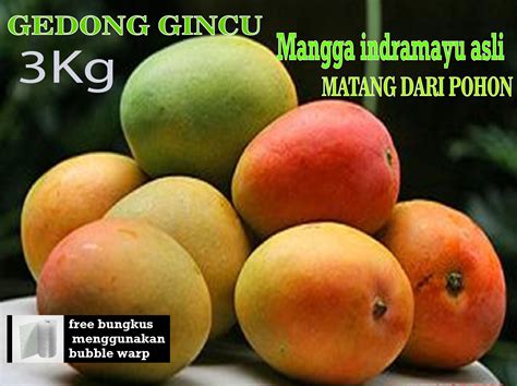 Paket Paket Kg Buah Mangga Gincu Buah Segar Gedong Gincu Mangga Asli