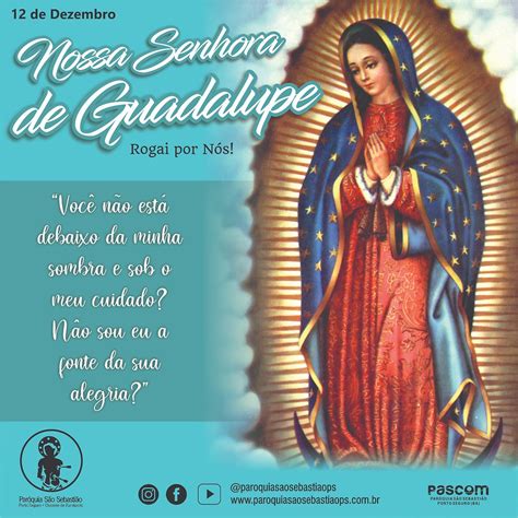 Nossa Senhora De Guadalupe Padroeira Da Am Rica Latina