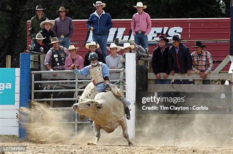 Open Bull Riding Photos And Premium High Res Pictures Getty Images