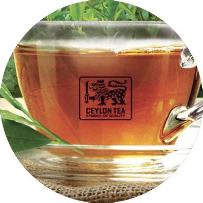 Tea Vibes Ceylon Pvt Limited Tea Vibes Ceylon Pvt Limited Ceylon Tea