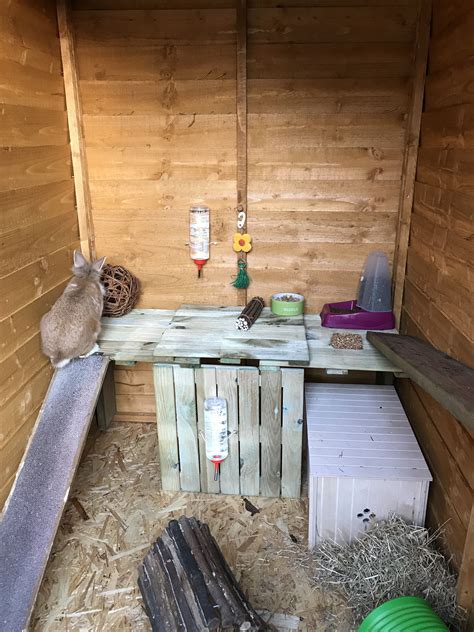 Homemade Rabbit Shed Rabbit Shed Rabbit Hutches Bunny Sheds