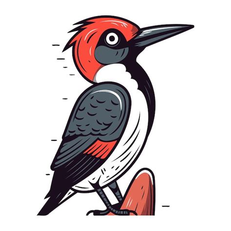 Premium Vector Woodpecker Vector Illustration Of A Bird On A White