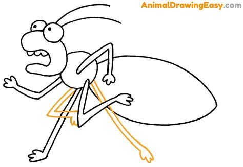 How to Draw a Bed Bug - Animaldrawingeasy.com