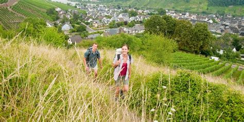 Rheinburgenweg Etappe Winningen Bassenheim S D Nord