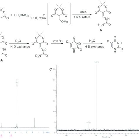 Figure S Chemoenzymatic Synthesis Of Isotope Labeled Atp And Sam