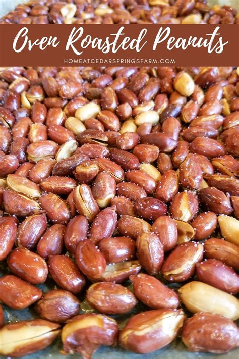 Basic Oven Roasted Peanuts Recipe Southern Food Artofit