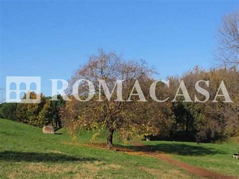 Terreno Edificabile Via Ardeatina Roma Rif 94833420 Immobiliare It