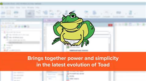 Toad Data Studio Heterogeneous Database Management Tool Overview