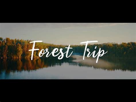 Cinematic Forest Trip Travel Video Sony A7s Sample YouTube