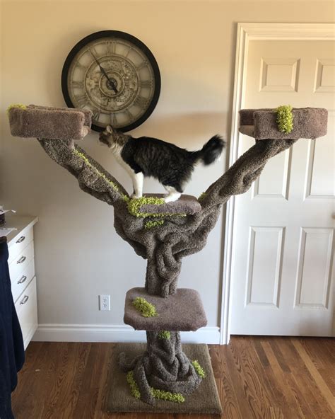 5y 5ft Tree Custom Cat Cribs Custom Cat Furniture Custom Cat Large Cat Tree