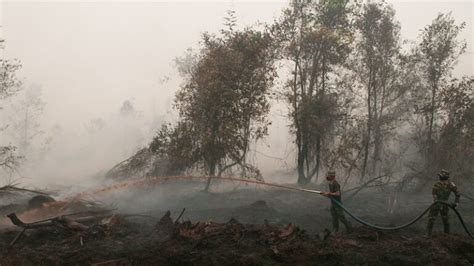 Indonesian Government Under Pressure To Stamp Out Toxic Haze