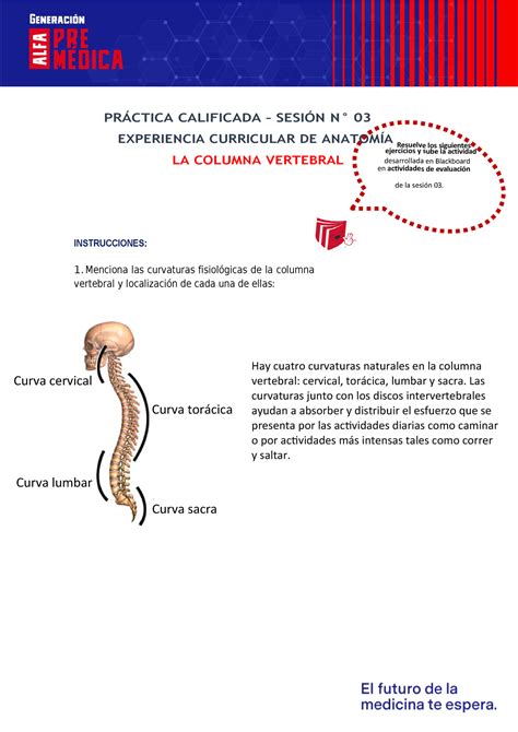 Anatomia S Anatom A Pr Ctica Calificada Sesi N N Experiencia