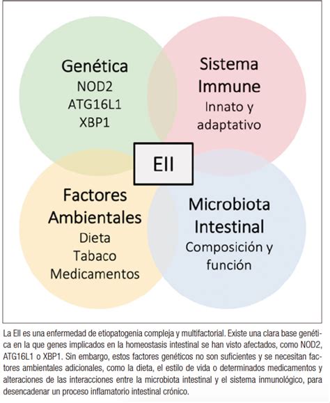 Mecanismos patogénicos del microbioma en la enfermedad inflamatoria