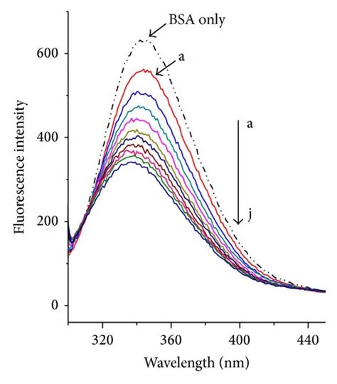 The Fluorescence Spectra Of Bsa By Dio In The Absence And Presence Of