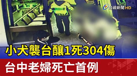 小犬襲台釀1死304傷 台中老婦死亡首例 Youtube