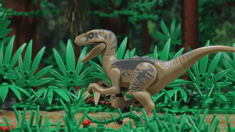 Velociraptor snack time - LEGO® Jurassic World™ Videos - LEGO.com for kids